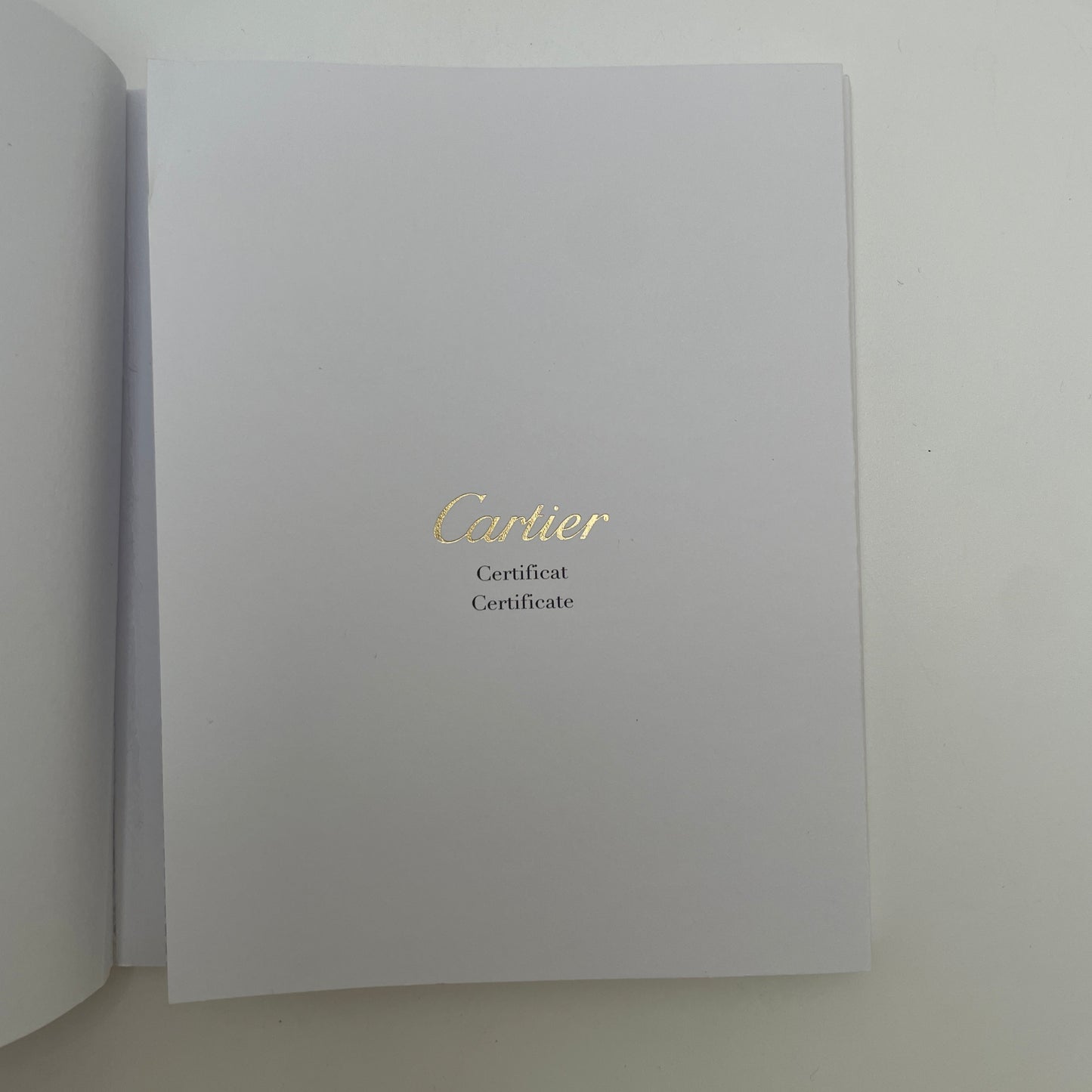 Cartier Santos Large