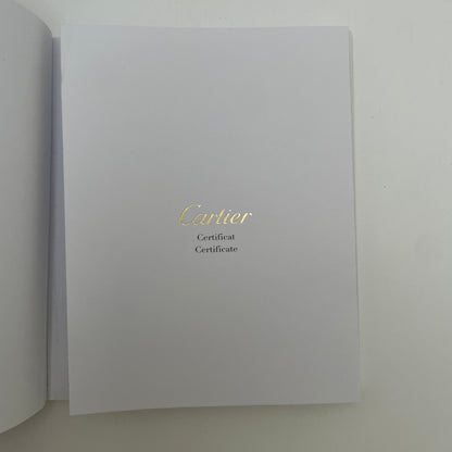 Cartier Santos Large